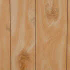 DPI 4 Ft. x 8 Ft. x 1/8 In. Honey Birch Woodgrain Wall Paneling Image 1